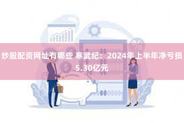 炒股配资网址有哪些 寒武纪：2024年上半年净亏损5.30亿元