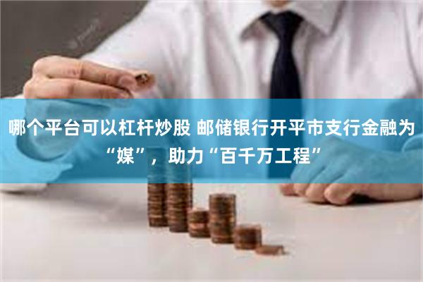 哪个平台可以杠杆炒股 邮储银行开平市支行金融为“媒”，助力“百千万工程”