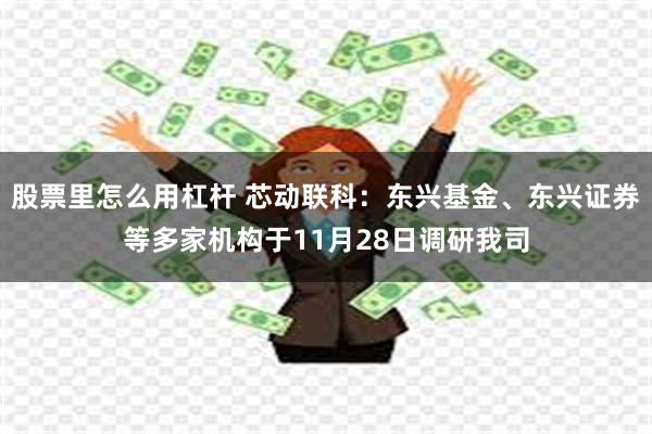 股票里怎么用杠杆 芯动联科：东兴基金、东兴证券等多家机构于11月28日调研我司