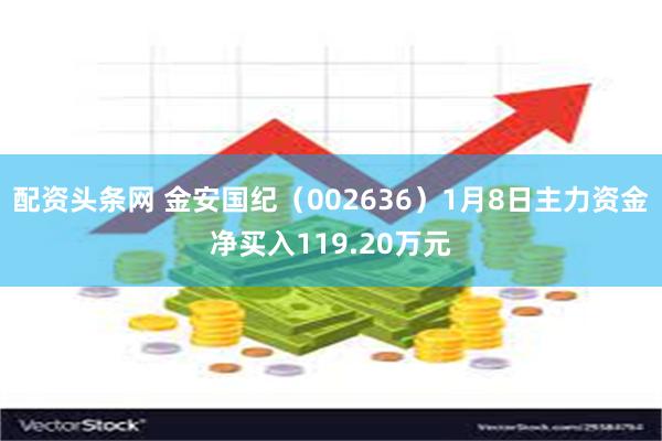 配资头条网 金安国纪（002636）1月8日主力资金净买入119.20万元