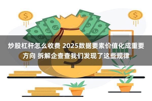 炒股杠杆怎么收费 2025数据要素价值化成重要方向 拆解企查查我们发现了这些规律