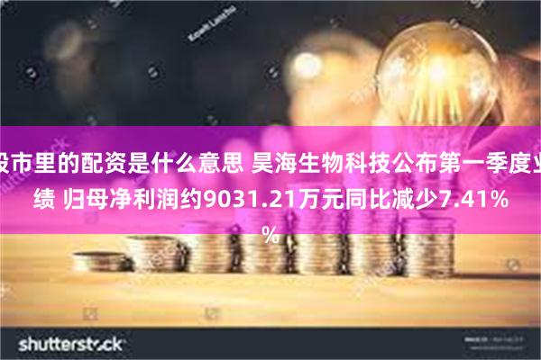 股市里的配资是什么意思 昊海生物科技公布第一季度业绩 归母净利润约9031.21万元同比减少7.41%